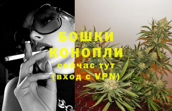 трава Аркадак