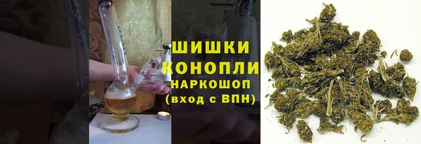 трава Аркадак