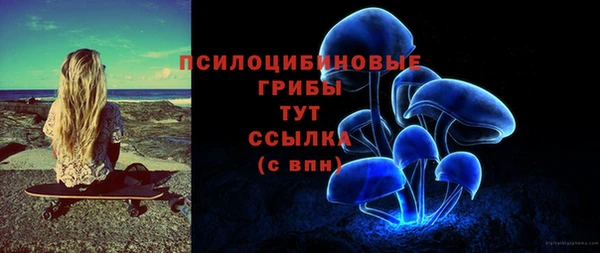 трава Аркадак