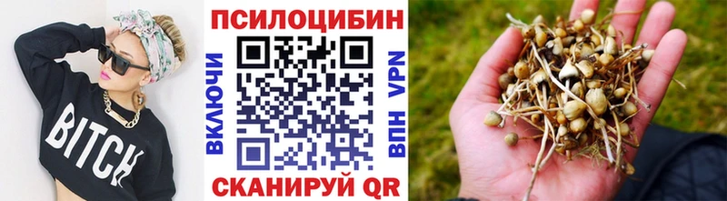 darknet как зайти  наркота  Горняк  Галлюциногенные грибы ЛСД 